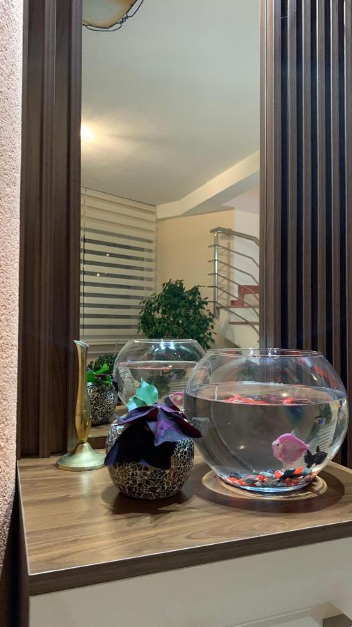 Guest House Nuhii Ulcinj Luaran gambar